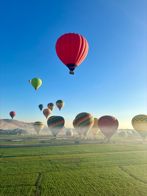 Hot air balloons rising over Luxor at sunrise